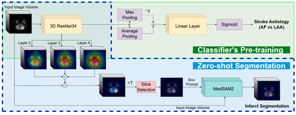 Publication thumbnail for Zero-shot Stroke Lesion Segmentation via CAM-guided Prompting of MedSAM2