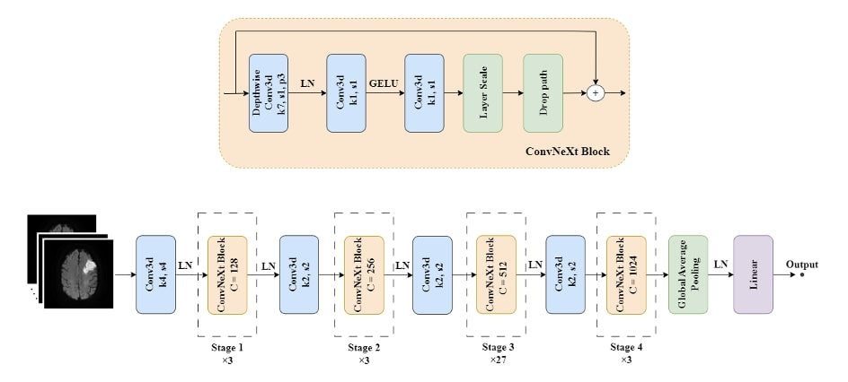 Publication thumbnail for Detecting Atrial Fibrillation by Artificial Intelligence-Enabled Neuroimaging Examination